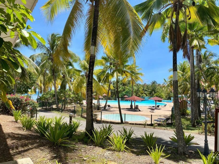 Vue Exclusive Mer Et Volcan, Village Vacances Avec Plage Et Piscine, Les Gwadastudios ساينت آن المظهر الخارجي الصورة