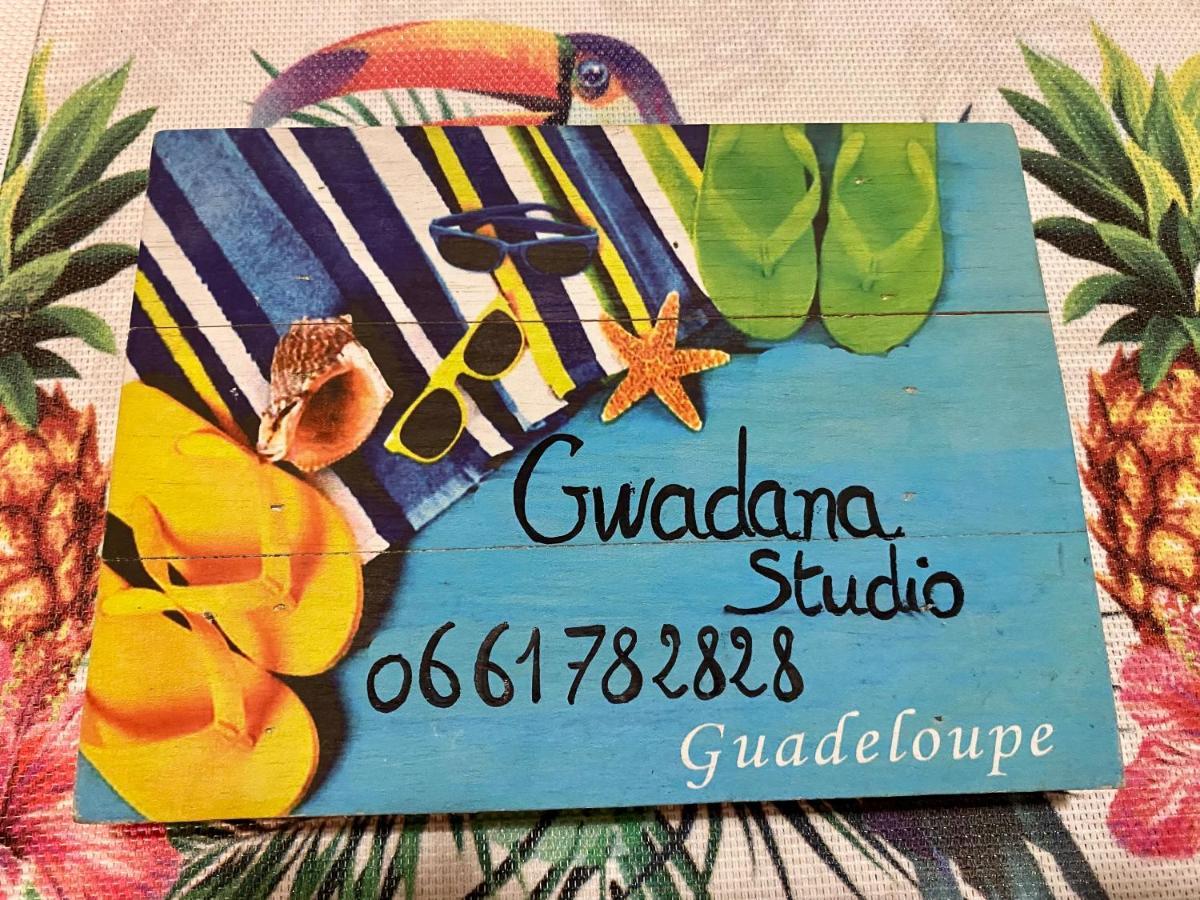 Vue Exclusive Mer Et Volcan, Village Vacances Avec Plage Et Piscine, Les Gwadastudios ساينت آن المظهر الخارجي الصورة