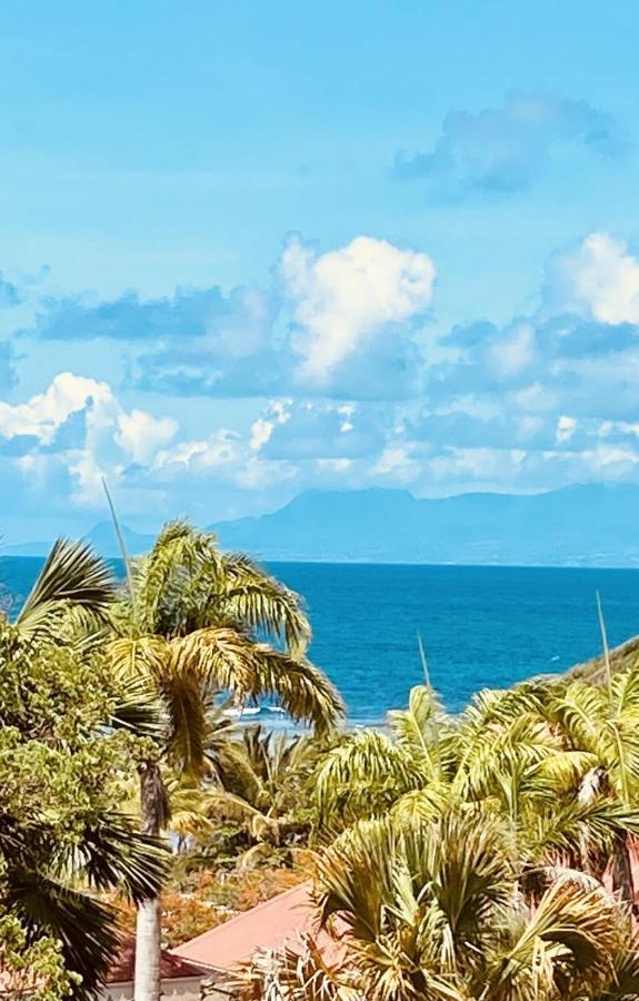 Vue Exclusive Mer Et Volcan, Village Vacances Avec Plage Et Piscine, Les Gwadastudios ساينت آن المظهر الخارجي الصورة