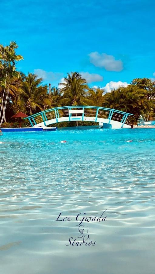 Vue Exclusive Mer Et Volcan, Village Vacances Avec Plage Et Piscine, Les Gwadastudios ساينت آن المظهر الخارجي الصورة