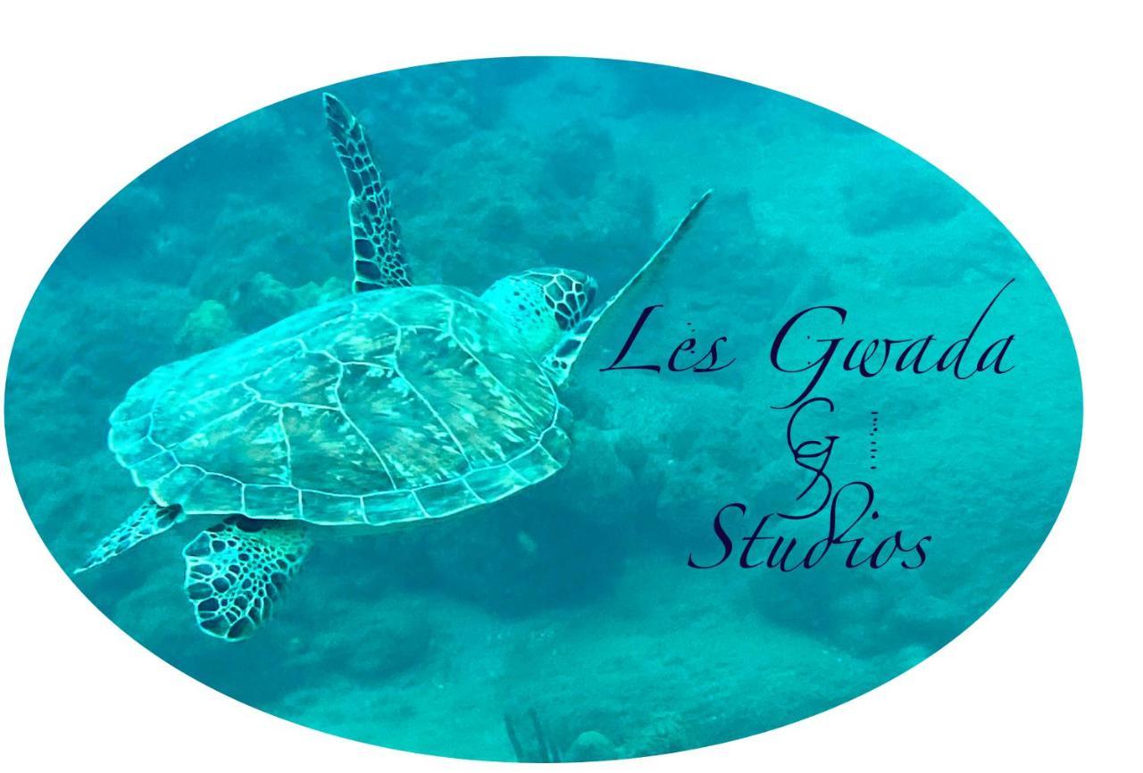 Vue Exclusive Mer Et Volcan, Village Vacances Avec Plage Et Piscine, Les Gwadastudios ساينت آن المظهر الخارجي الصورة