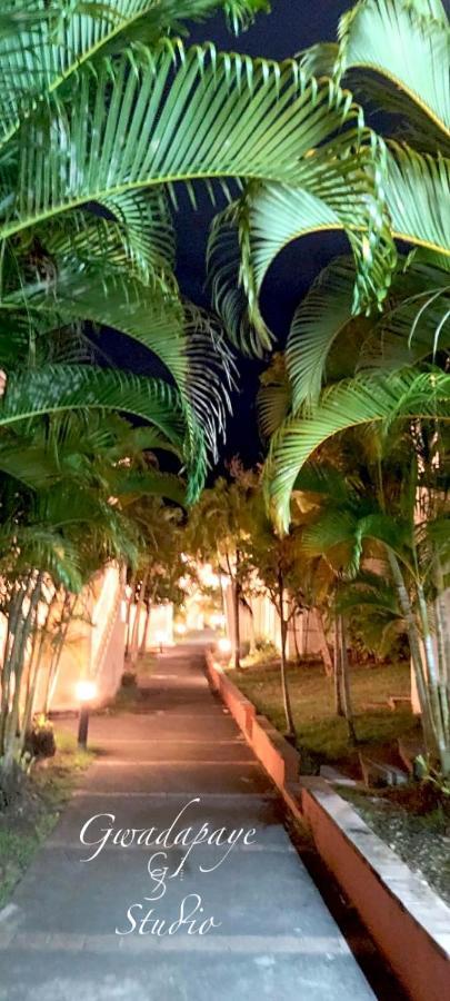 Vue Exclusive Mer Et Volcan, Village Vacances Avec Plage Et Piscine, Les Gwadastudios ساينت آن المظهر الخارجي الصورة