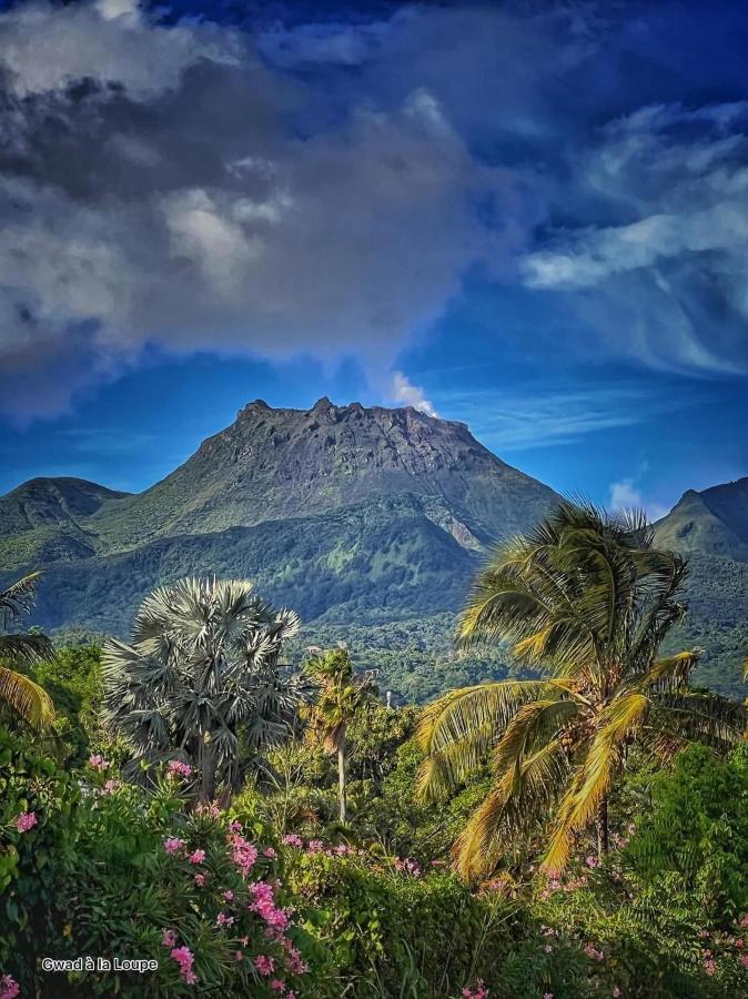 Vue Exclusive Mer Et Volcan, Village Vacances Avec Plage Et Piscine, Les Gwadastudios ساينت آن المظهر الخارجي الصورة